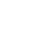 light logo